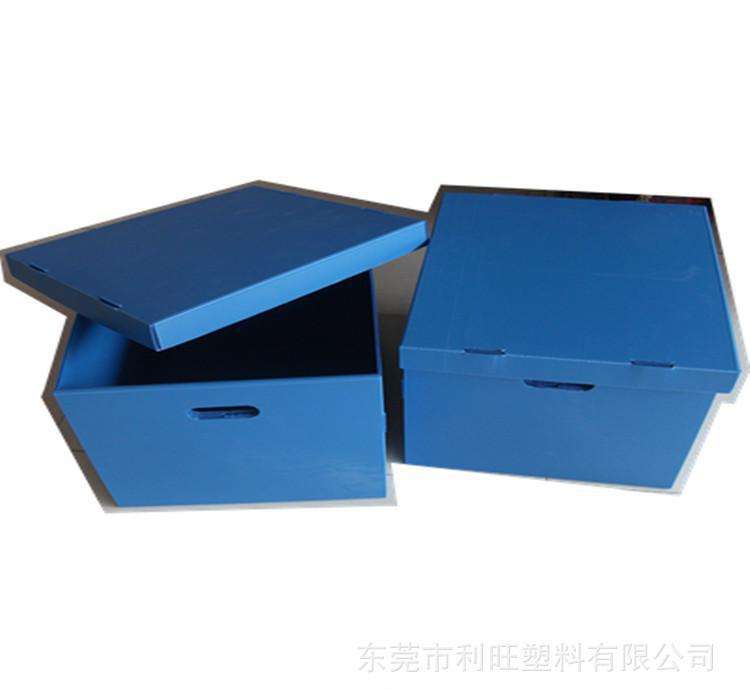 中空板箱